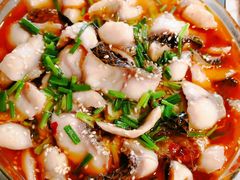 -佳禾月嫂育儿嫂(拱墅店)