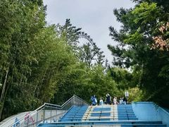 -巧克力渔家.小船海鲜家常菜(万平口店)