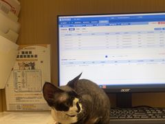 -瑞派康怡24h宠物医院·犬猫医疗中心·微创绝育(瑞景分院)
