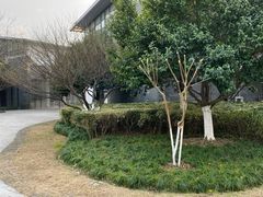 -杭州城北体育公园