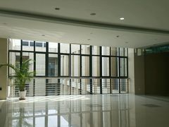 -上海市第六人民医院(临港院区)