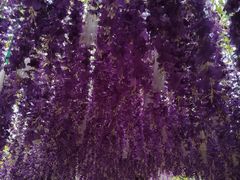 -成都欢乐谷