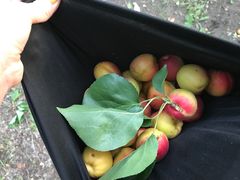 -长春公园(普阳街道)