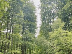 -广州市白云山风景名胜区