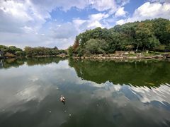 -白马涧龙池景区