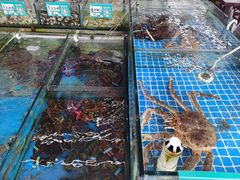 -87号烧烤海鲜·大排档(金沙滩店)