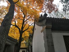 -北京鹫峰国家森林公园