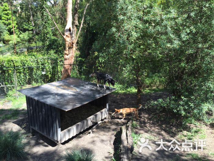 australian reptile park图片 - 第3张