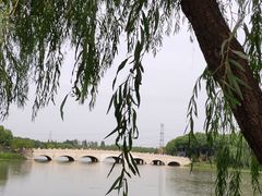 -昆山城市生态森林公园