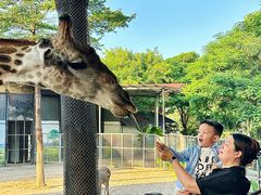 -灵玲国际马戏城