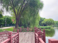 -北坞公园