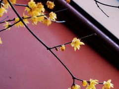 -钱王祠