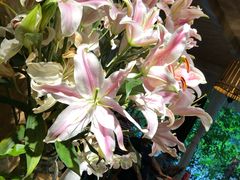 -春暖花开(西溪店)