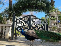 -金庭庄园酒店-停车场