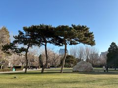 -北京理工大学(中关村校区)