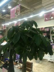 -木北护肤造型