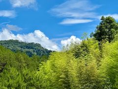 -仙店农庄(湖景农庄餐厅)