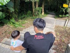 -广州市帽峰山景区