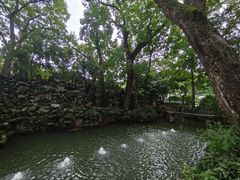 -绮园景区
