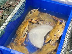 -长平肥姐白粥·海鲜打冷