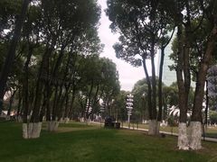 -重庆市江北嘴中央商务区中央公园