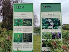 -两河城市森林公园
