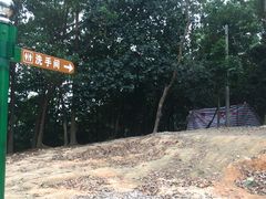 -大尖山公园