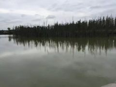 -白鹭湾湿地公园