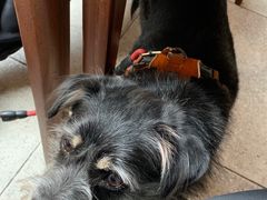 -VESH COFFEE(定西路店)