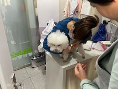 -A猫a狗全科·犬猫异宠·芥西宠物医院(南开总院)
