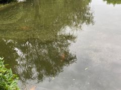 -上海第二工业大学(金海路校区)