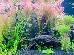 -上海海洋水族馆