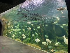 -哈尔滨波塞冬海底世界