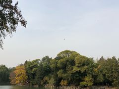 -北京大学-燕南食堂