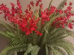 -澳洲肥牛火锅(转盘路店)