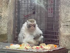 -黔灵山公园