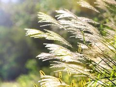 -西武百货(涩谷店)