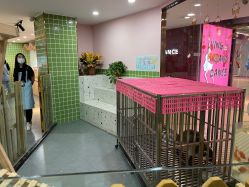 -Moni星球萌宠·小马宝莉·灵蛇·高端高阶全萌宠互动体验俱乐部(红豆国际广场店)