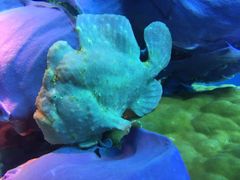 -上海潜殿潜水中心