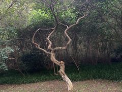 -杭州植物园
