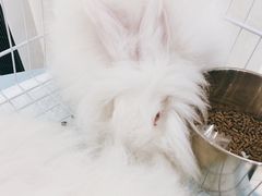 -怪兽屋·羊驼·猫咖·狗咖(俊华广场店)