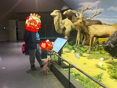 -天津自然博物馆