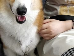 -汪说·狗咖(旺城大厦店)