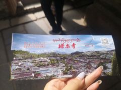 -塔尔寺-菩提树