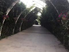 -天津东丽湖风景区