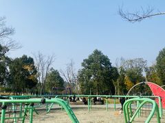 -三圣花乡旅游区