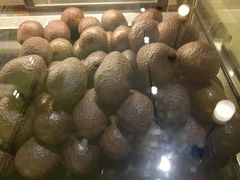 -油梨树 AVOCADO TREE(亮马桥店)