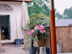 -云里小坐·小院里·团建·宴请·下午茶(三圣乡店)