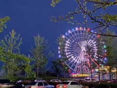 -琴岛之星摩天轮