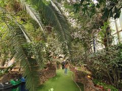 -呀路古热带植物园